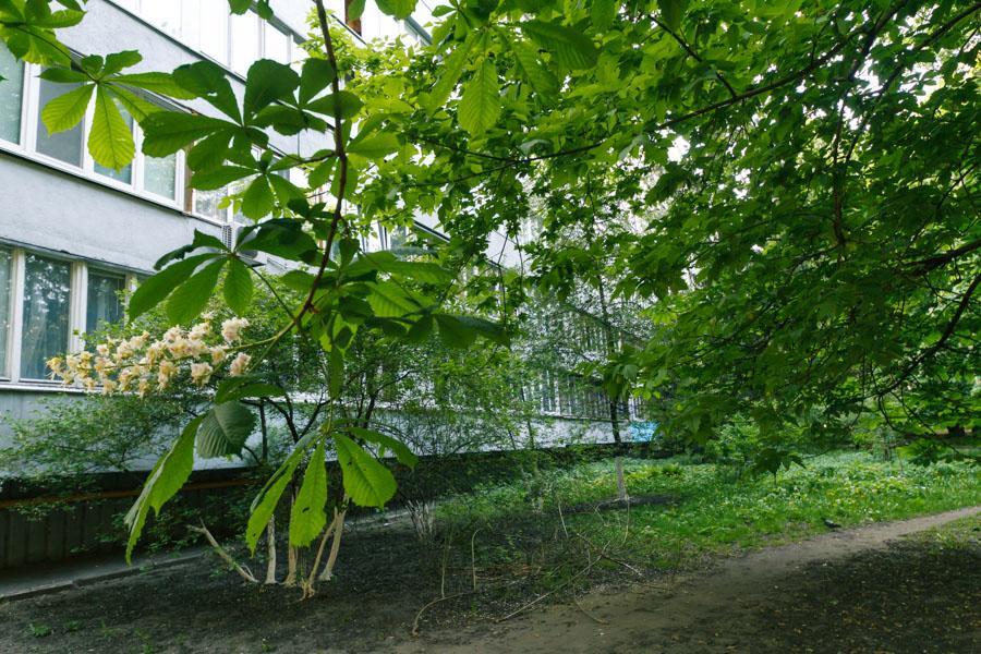Bessarabsky Kvartal Kiev Exterior foto